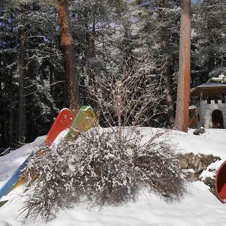 Chalet Skiblume