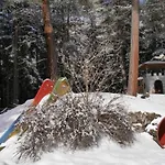 Dağ evi Skiblume