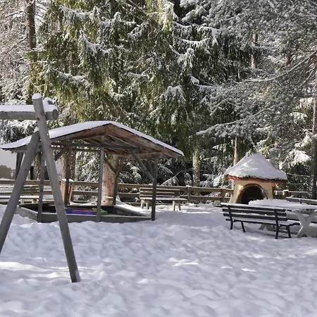 Chalet Skiblume *